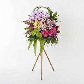 HLB44 KASHA 開張花籃